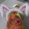 Serviettenring BUNNY