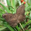 ITH Blumenstecker / Stabfiguren Hase, Schmetterling und Vogel – Bild 6