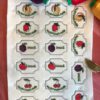 61 Einmach-Schilder (für Marmeladen, Mus, Gelee, Liköre, Essig, Shrup, Amaretto, Limoncello, Eierlikör etc.) – Bild 4