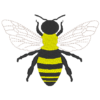 Bienen-Set – Bild 7