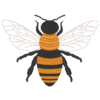 Bienen-Set – Bild 10