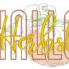 HALLO Herbst – Bild 6