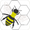 Bienen-Set – Bild 11