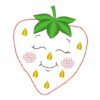 6 Erdbeeren mit Gesicht (Doodle Appli) – Bild 12